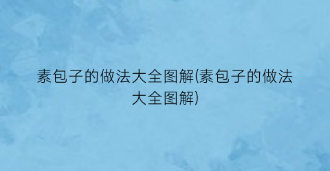 素包子的做法大全图解(素包子的做法大全图解)