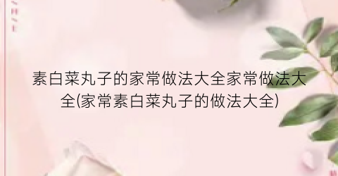 素白菜丸子的家常做法大全家常做法大全(家常素白菜丸子的做法大全)