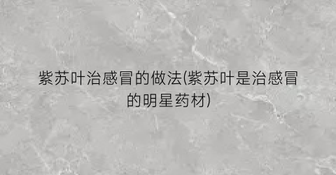 紫苏叶治感冒的做法(紫苏叶是治感冒的明星药材)