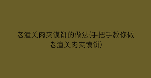 “老潼关肉夹馍饼的做法(手把手教你做老潼关肉夹馍饼)