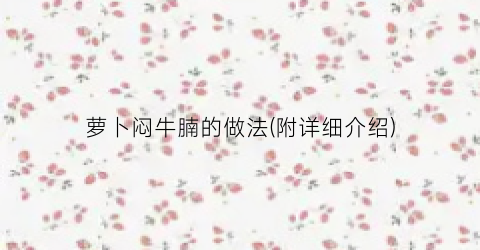 萝卜闷牛腩的做法(附详细介绍)