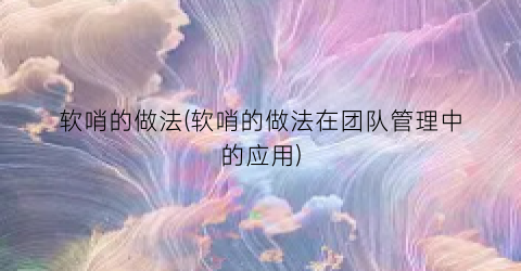 软哨的做法(软哨的做法在团队管理中的应用)