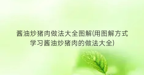 酱油炒猪肉做法大全图解(用图解方式学习酱油炒猪肉的做法大全)