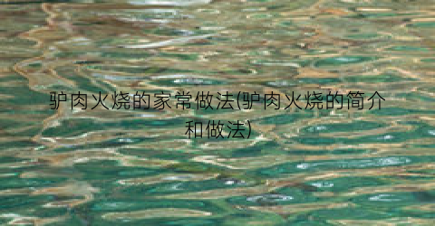 驴肉火烧的家常做法(驴肉火烧的简介和做法)