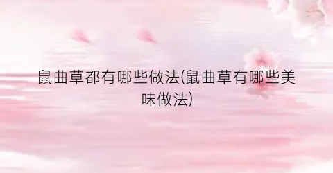 鼠曲草都有哪些做法(鼠曲草有哪些美味做法)