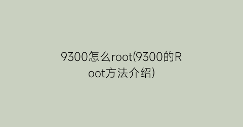9300怎么root(9300的Root方法介绍)