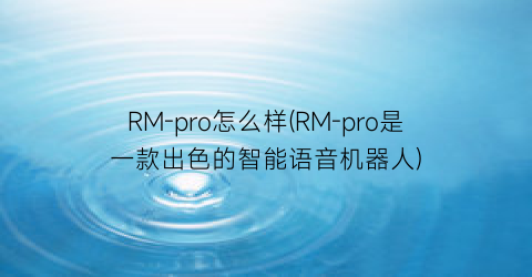 RM-pro怎么样(RM-pro是一款出色的智能语音机器人)