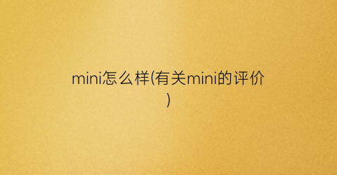 mini怎么样(有关mini的评价)