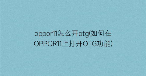 oppor11怎么开otg(如何在OPPOR11上打开OTG功能)
