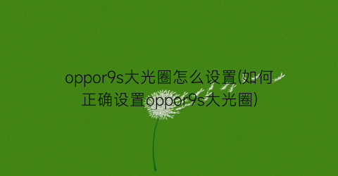 oppor9s大光圈怎么设置(如何正确设置oppor9s大光圈)