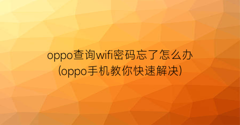 oppo查询wifi密码忘了怎么办(oppo手机教你快速解决)