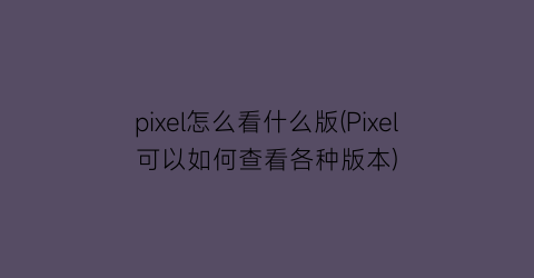 pixel怎么看什么版(Pixel可以如何查看各种版本)