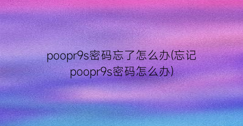 poopr9s密码忘了怎么办(忘记poopr9s密码怎么办)