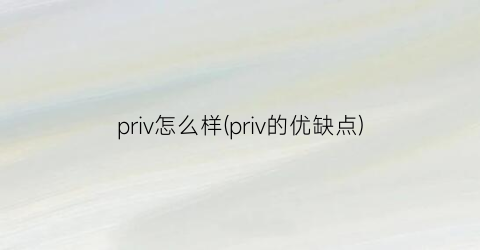 priv怎么样(priv的优缺点)