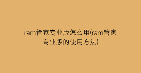 ram管家专业版怎么用(ram管家专业版的使用方法)