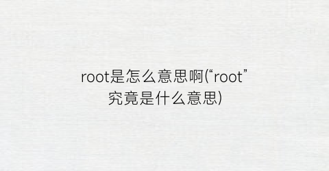 “root是怎么意思啊(“root”究竟是什么意思)