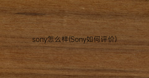 sony怎么样(Sony如何评价)