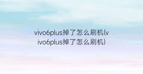 “vivo6plus掉了怎么刷机(vivo6plus掉了怎么刷机)