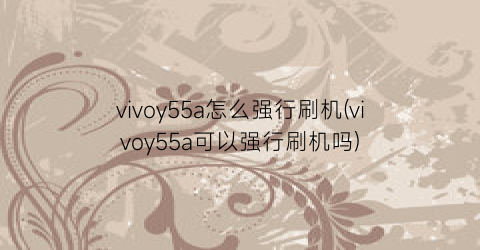 vivoy55a怎么强行刷机(vivoy55a可以强行刷机吗)