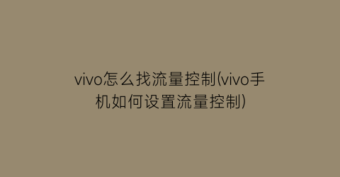 vivo怎么找流量控制(vivo手机如何设置流量控制)