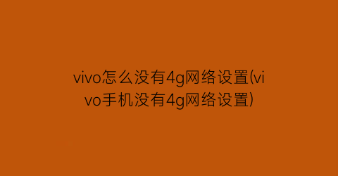 vivo怎么没有4g网络设置(vivo手机没有4g网络设置)
