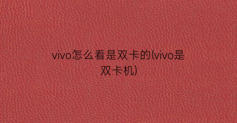 vivo怎么看是双卡的(vivo是双卡机)