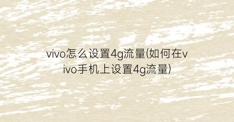 vivo怎么设置4g流量(如何在vivo手机上设置4g流量)