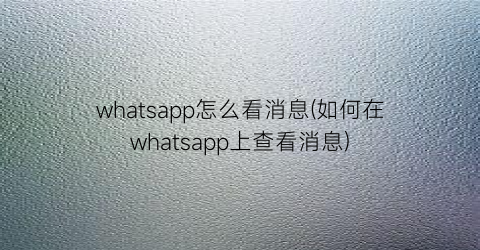 whatsapp怎么看消息(如何在whatsapp上查看消息)