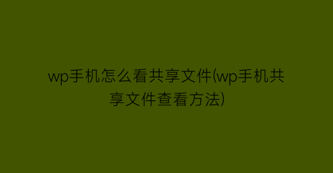 wp手机怎么看共享文件(wp手机共享文件查看方法)
