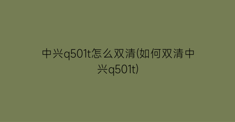 中兴q501t怎么双清(如何双清中兴q501t)