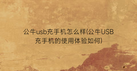 “公牛usb充手机怎么样(公牛USB充手机的使用体验如何)