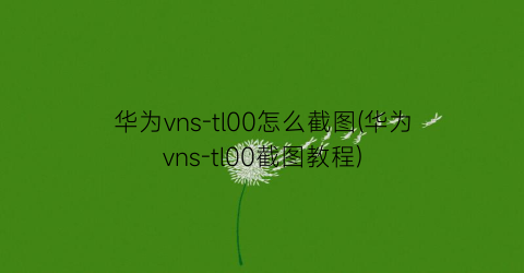 华为vns-tl00怎么截图(华为vns-tl00截图教程)