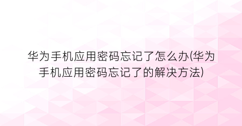 华为手机应用密码忘记了怎么办(华为手机应用密码忘记了的解决方法)