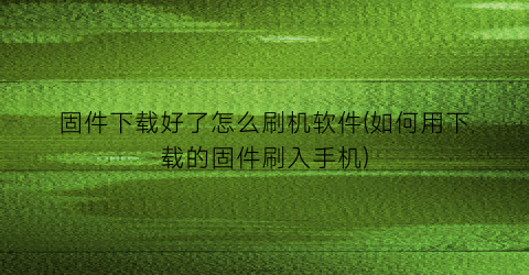 “固件下载好了怎么刷机软件(如何用下载的固件刷入手机)