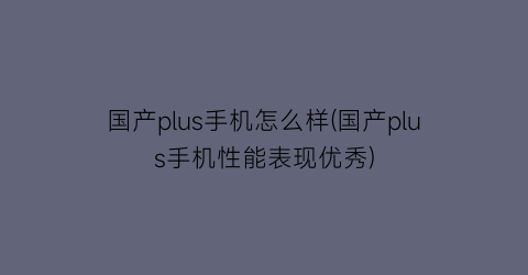 国产plus手机怎么样(国产plus手机性能表现优秀)