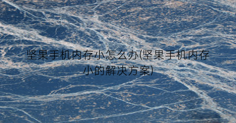 “坚果手机内存小怎么办(坚果手机内存小的解决方案)