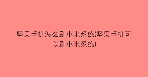 坚果手机怎么刷小米系统(坚果手机可以刷小米系统)