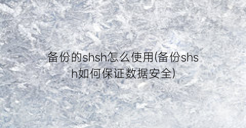 备份的shsh怎么使用(备份shsh如何保证数据安全)