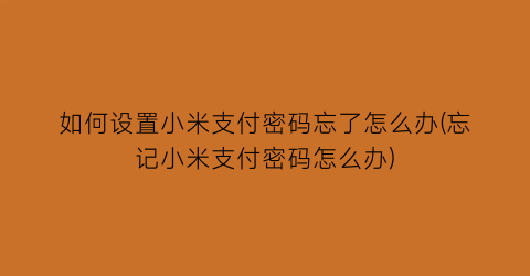 “如何设置小米支付密码忘了怎么办(忘记小米支付密码怎么办)