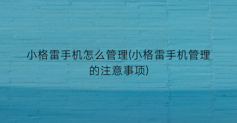 “小格雷手机怎么管理(小格雷手机管理的注意事项)