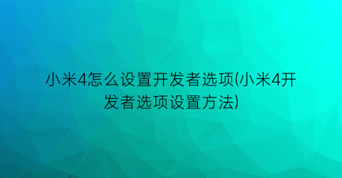 小米4怎么设置开发者选项(小米4开发者选项设置方法)