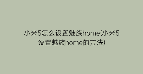 小米5怎么设置魅族home(小米5设置魅族home的方法)