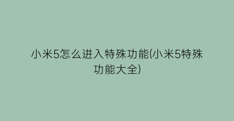 “小米5怎么进入特殊功能(小米5特殊功能大全)