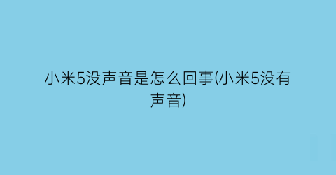 “小米5没声音是怎么回事(小米5没有声音)