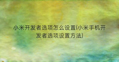 “小米开发者选项怎么设置(小米手机开发者选项设置方法)
