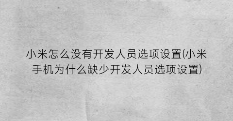 小米怎么没有开发人员选项设置(小米手机为什么缺少开发人员选项设置)