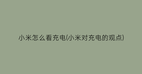 “小米怎么看充电(小米对充电的观点)