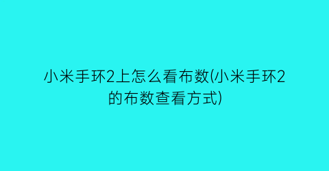 小米手环2上怎么看布数(小米手环2的布数查看方式)