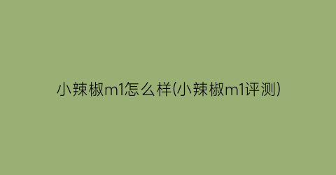 小辣椒m1怎么样(小辣椒m1评测)