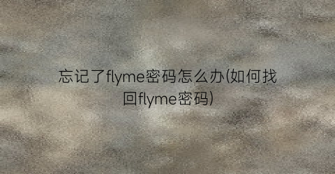 忘记了flyme密码怎么办(如何找回flyme密码)